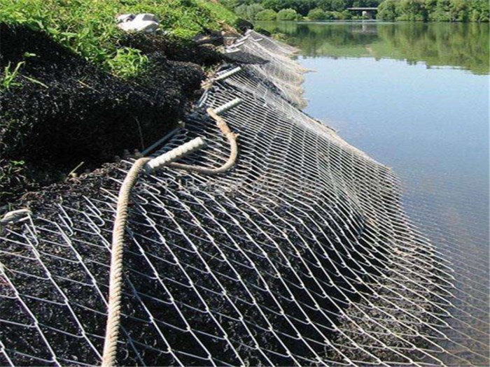 鈦克網(wǎng)案例 鈦克網(wǎng)案例