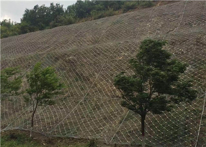 主動(dòng)防護(hù)網(wǎng)