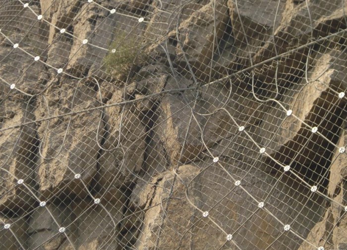 主動(dòng)網(wǎng)案例 主動(dòng)網(wǎng)案例