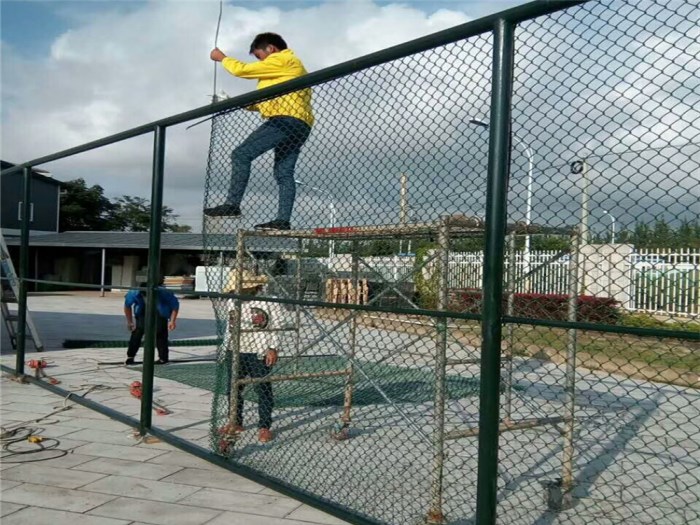 青海包塑勾花網(wǎng)案例