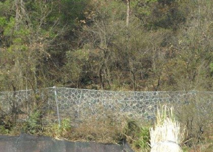 RXI-200環(huán)形網(wǎng)