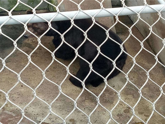 青海不銹鋼繩網(wǎng)案例