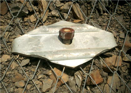 鈦克網(wǎng) 鈦克網(wǎng)