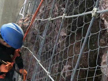 40691516930238.jpg 40691516930238.jpg