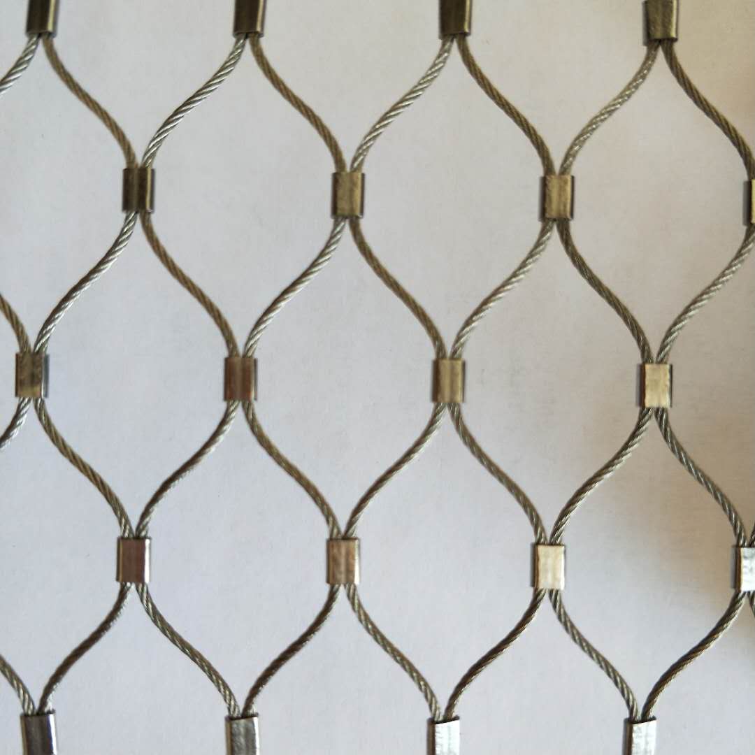 532252847779566613.jpg 532252847779566613.jpg