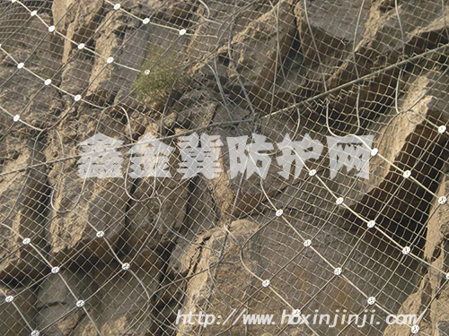 g3_7197152 拷貝.jpg g3_7197152 拷貝.jpg