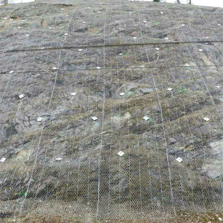 撫州綠化攔石主動網(wǎng) 志趣網(wǎng).jpg