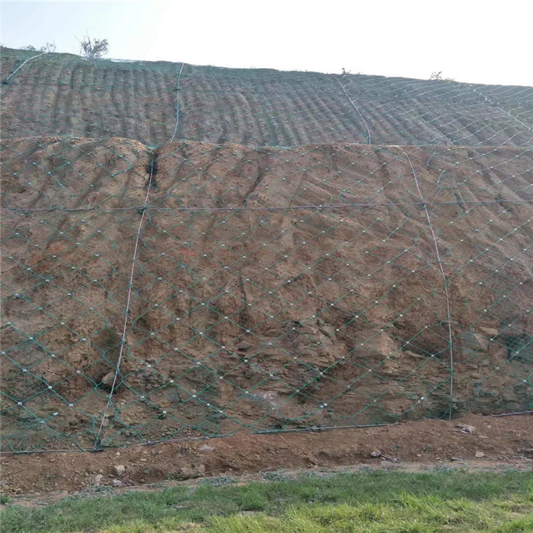 南寧綠化攔石主動(dòng)網(wǎng) 志趣網(wǎng).jpg