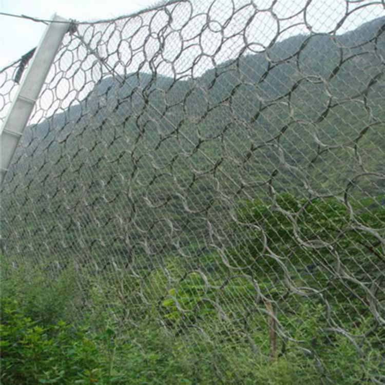平陽(yáng)生態(tài)綠化被動(dòng)網(wǎng) 愛(ài)喇叭網(wǎng).jpg 平陽(yáng)生態(tài)綠化被動(dòng)網(wǎng) 愛(ài)喇叭網(wǎng).jpg