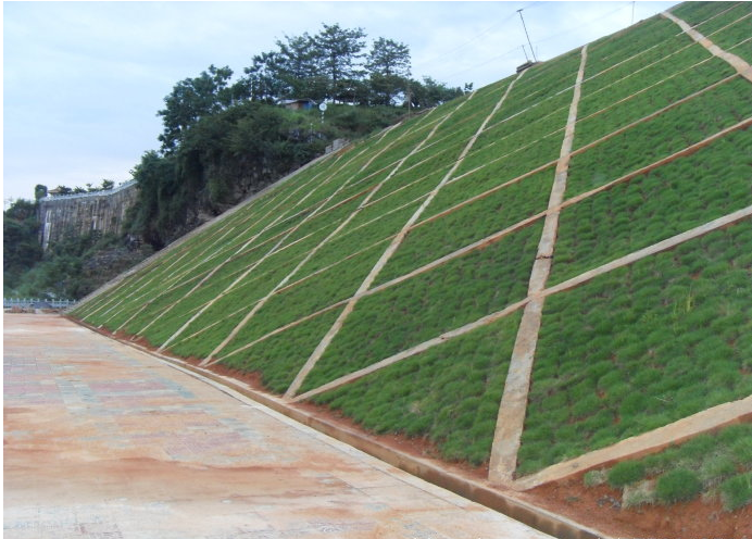 imagestore20170514a1b890d3-ef40-4794-bb34-81ae1b8e0ebf.jpg imagestore20170514a1b890d3-ef40-4794-bb34-81ae1b8e0ebf.jpg