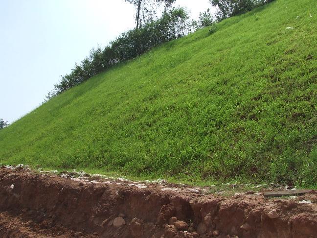 1497193.jpg 1497193.jpg