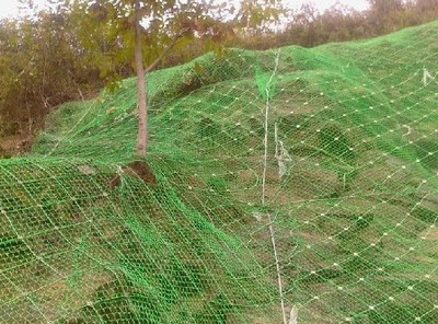 wKhQ6FS8FvSEM0YGAAAAAD-Kms4891.jpg..400x400.jpg wKhQ6FS8FvSEM0YGAAAAAD-Kms4891.jpg..400x400.jpg