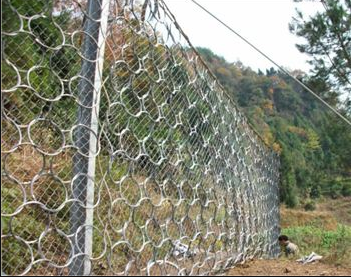 被動(dòng)環(huán)形攔石網(wǎng)廠(chǎng) 志趣網(wǎng).png 被動(dòng)環(huán)形攔石網(wǎng)廠(chǎng) 志趣網(wǎng).png