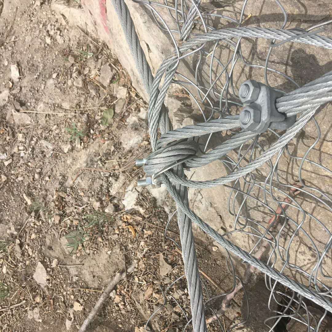 IMG_8504.JPG IMG_8504.JPG