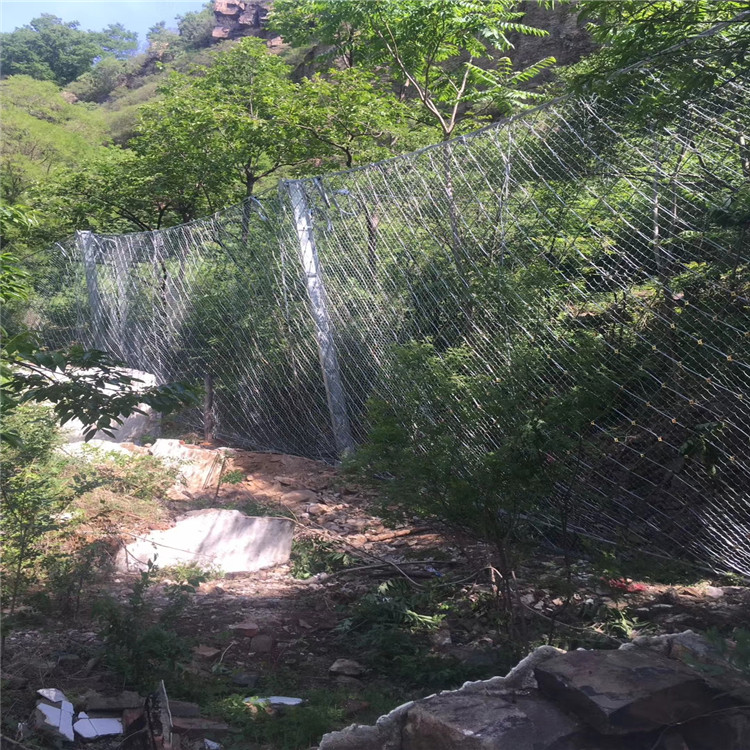 南陽綠化攔石被動網(wǎng) 列舉網(wǎng).jpg 南陽綠化攔石被動網(wǎng) 列舉網(wǎng).jpg