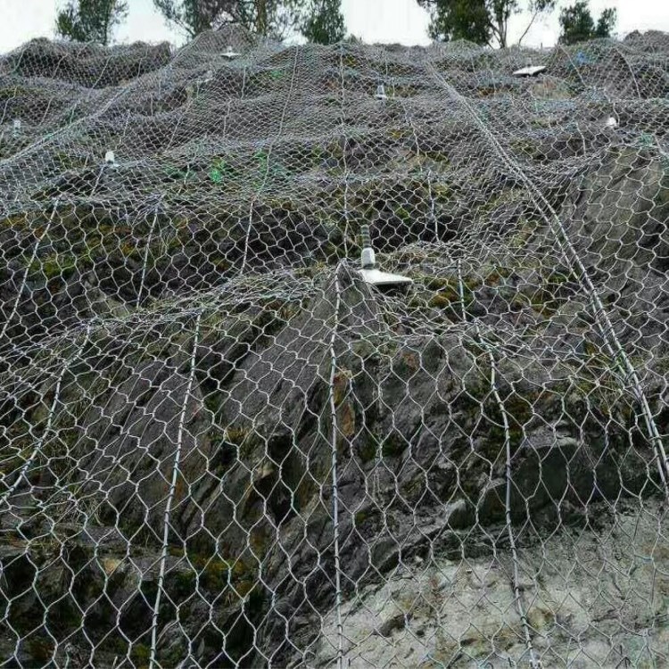 微信圖片_201801061433346.jpg 微信圖片_201801061433346.jpg