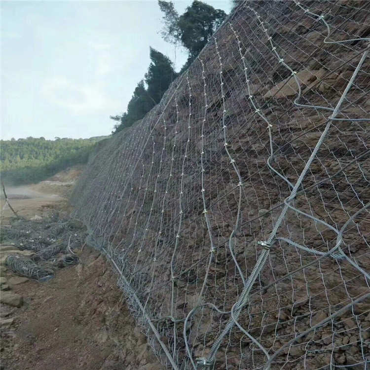 綠化攔石主動網(wǎng) 虎易網(wǎng)3.jpg 綠化攔石主動網(wǎng) 虎易網(wǎng)3.jpg