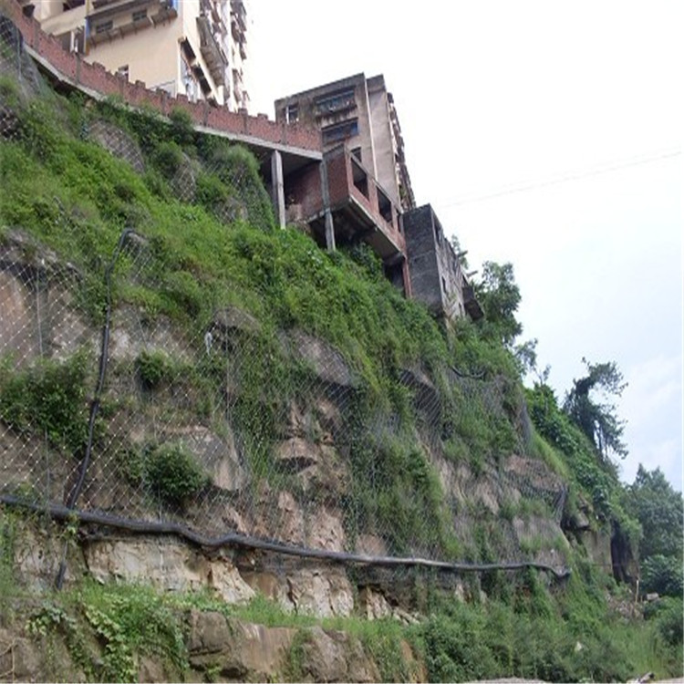 20120202184844809.jpg 20120202184844809.jpg