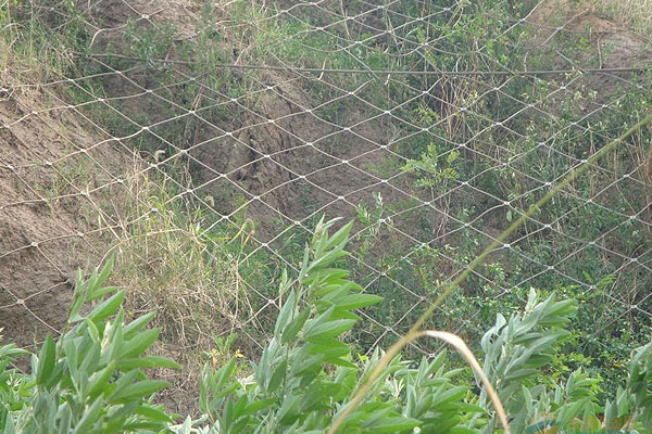 20180307163121_1.jpg 20180307163121_1.jpg