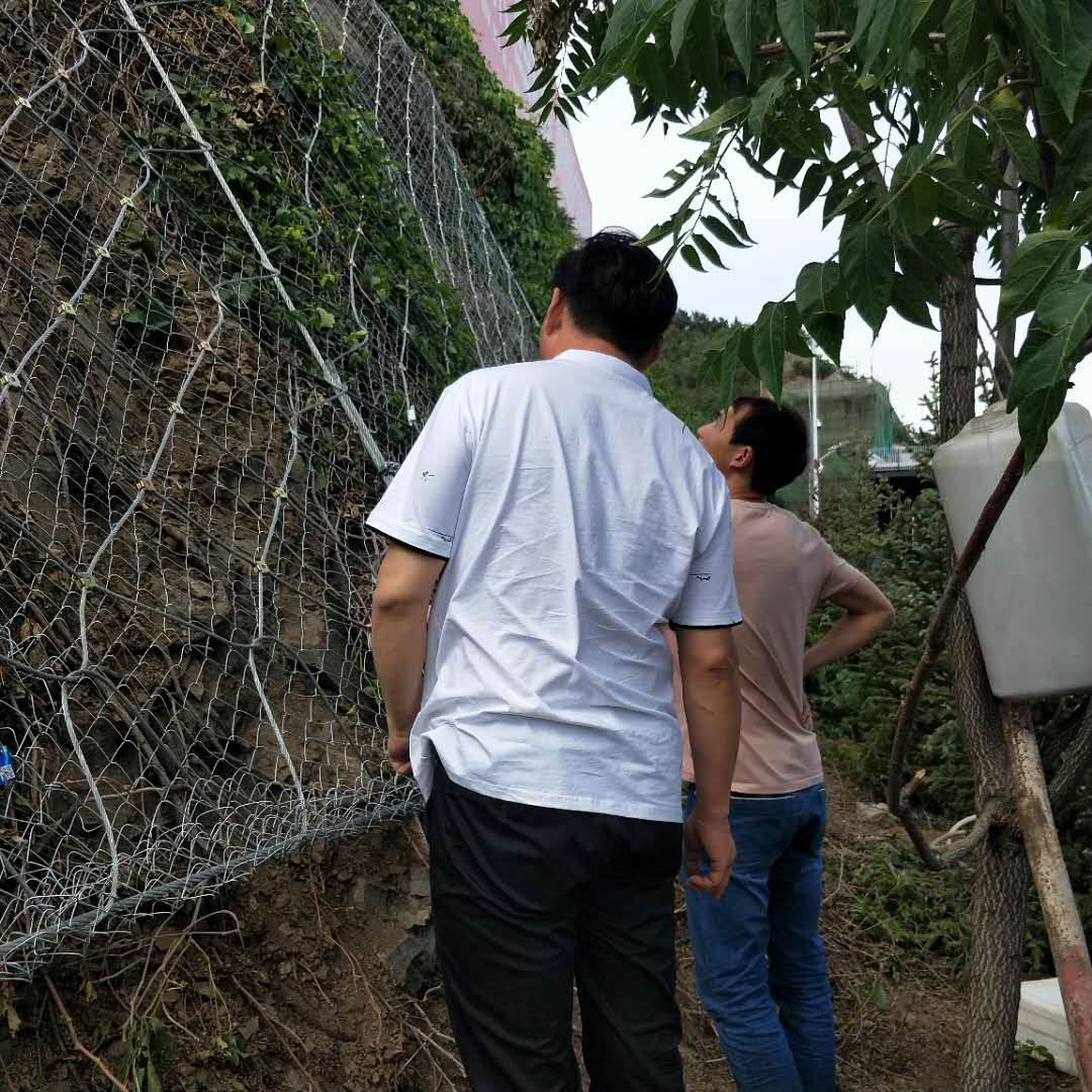 1206921464733512617.jpg 1206921464733512617.jpg