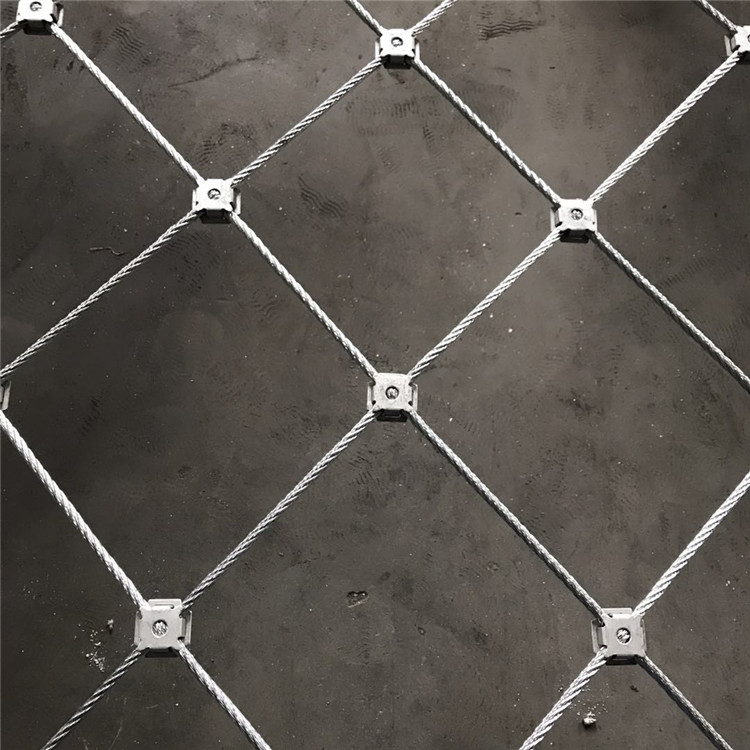 776592186822782870.jpg 776592186822782870.jpg