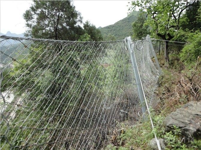 x1_1.1358647019_670_501_181525.jpg x1_1.1358647019_670_501_181525.jpg