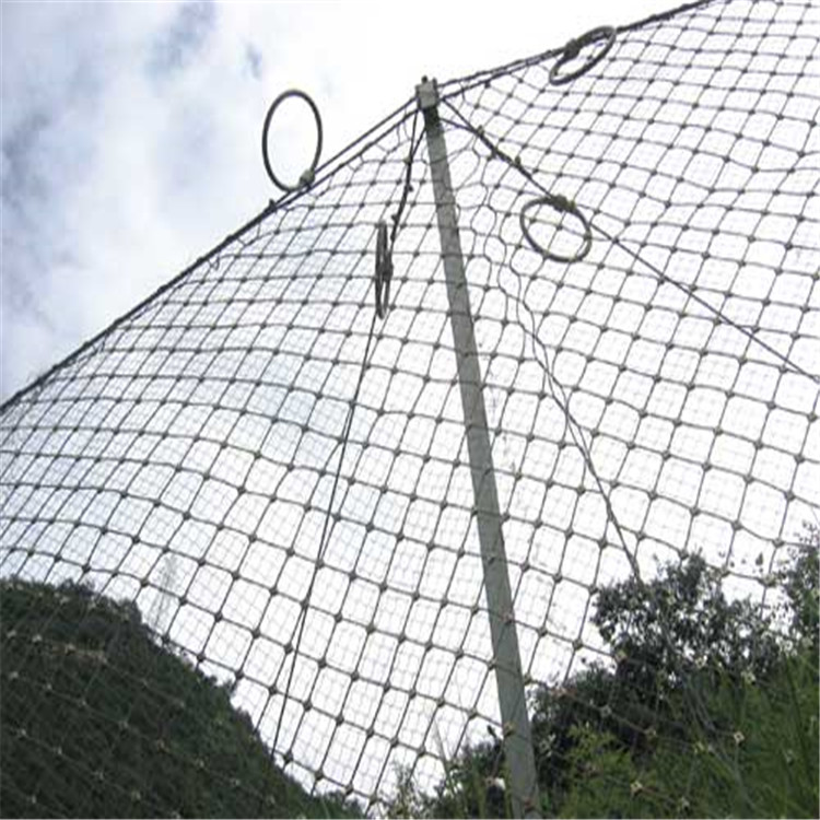 g3_5921586.jpg g3_5921586.jpg