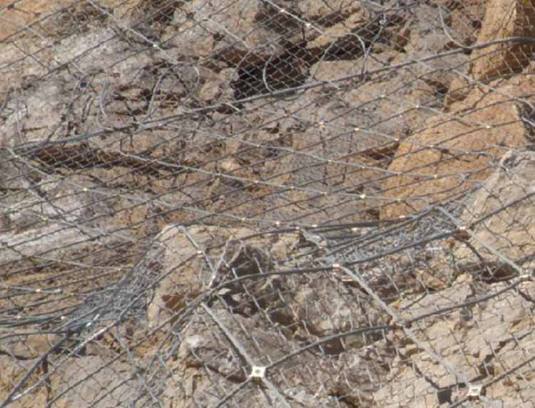 201132145329.jpg 201132145329.jpg