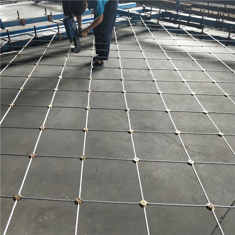 IMG20180902110909.jpg IMG20180902110909.jpg