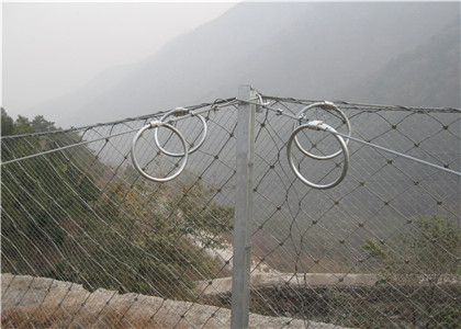 被動(dòng)防護(hù)網(wǎng)