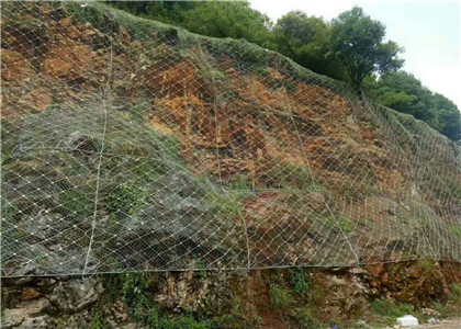 主動(dòng)防護(hù)網(wǎng)