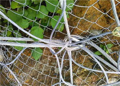 GPS2型邊坡防護(hù)網(wǎng)