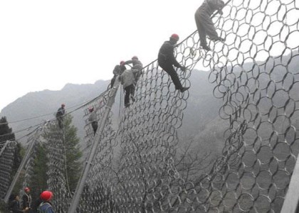 RXI-200環(huán)形網(wǎng)