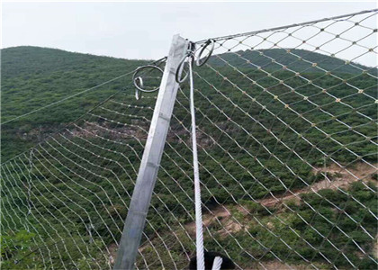 被動(dòng)防護(hù)網(wǎng)