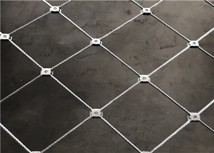 主動(dòng)防護(hù)網(wǎng)