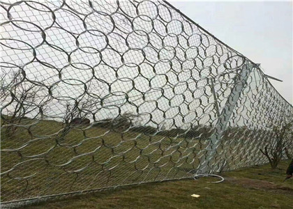 環(huán)形防護網(wǎng)