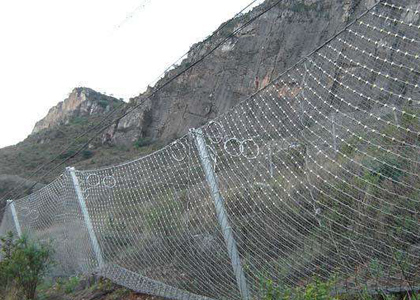 RXI-150環(huán)形網(wǎng)